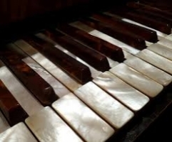 Giáo viên dạy đàn Piano Organ tại nhà