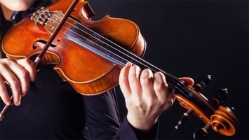 Nhận dạy kèm violin tại nhà